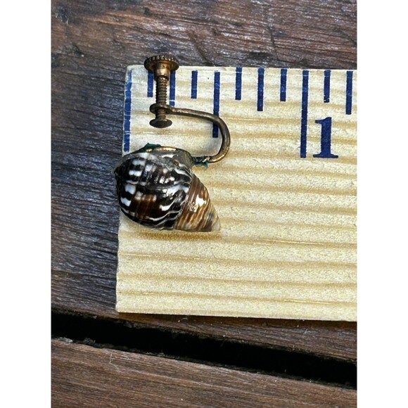 Vintage Seashell Screw-on Earrings Brown White Speckled - Picture 6 of 6